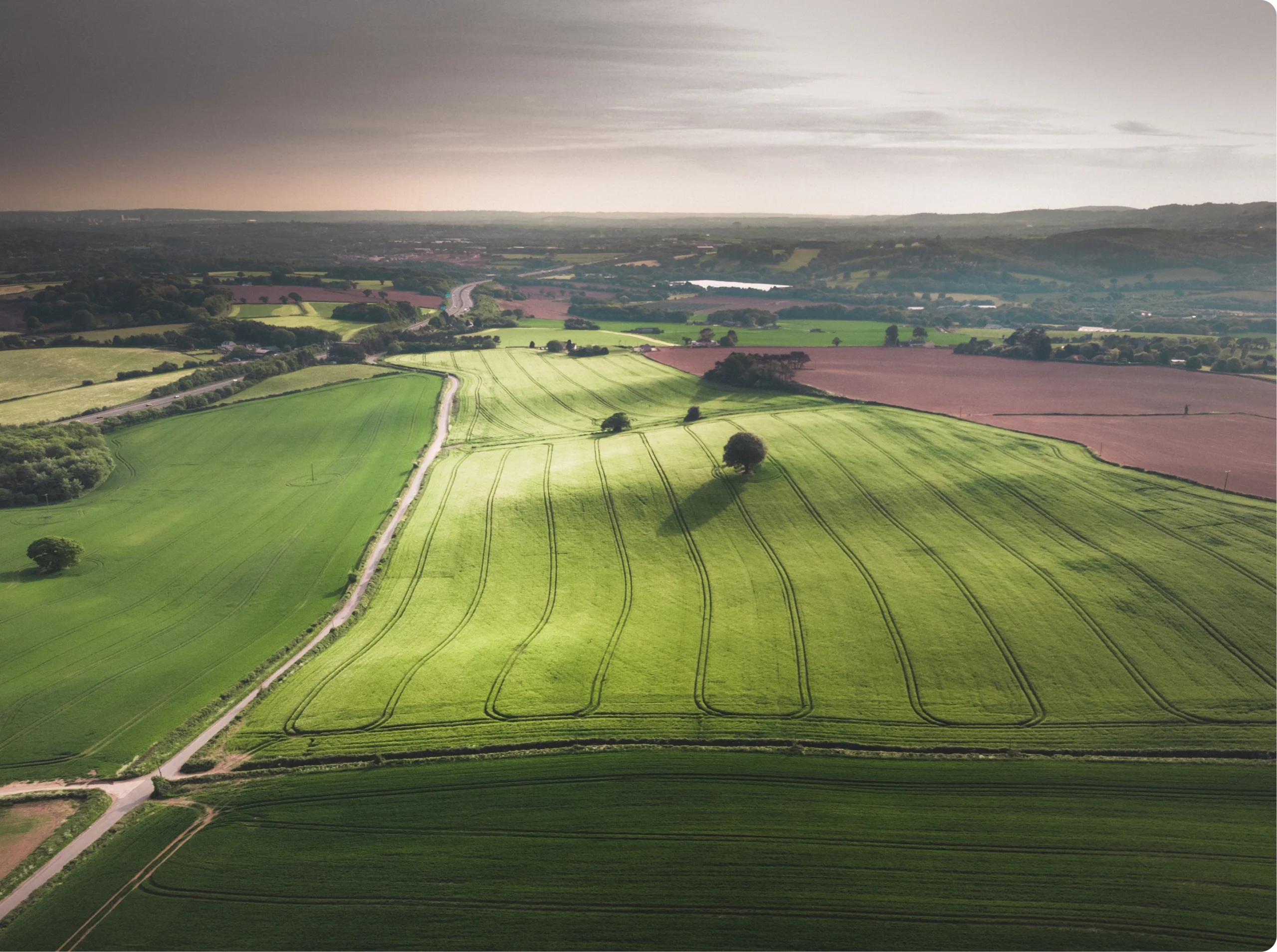 What Are Carbon Farming Methods?