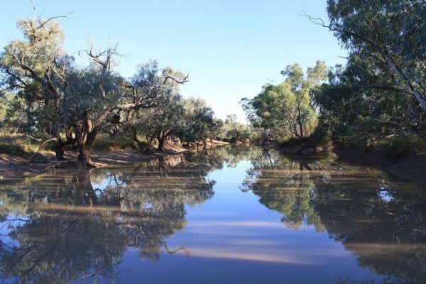 Kullilli people acquire Thargomindah Station and Return to Country backed by innovative carbon farming and finance partnership