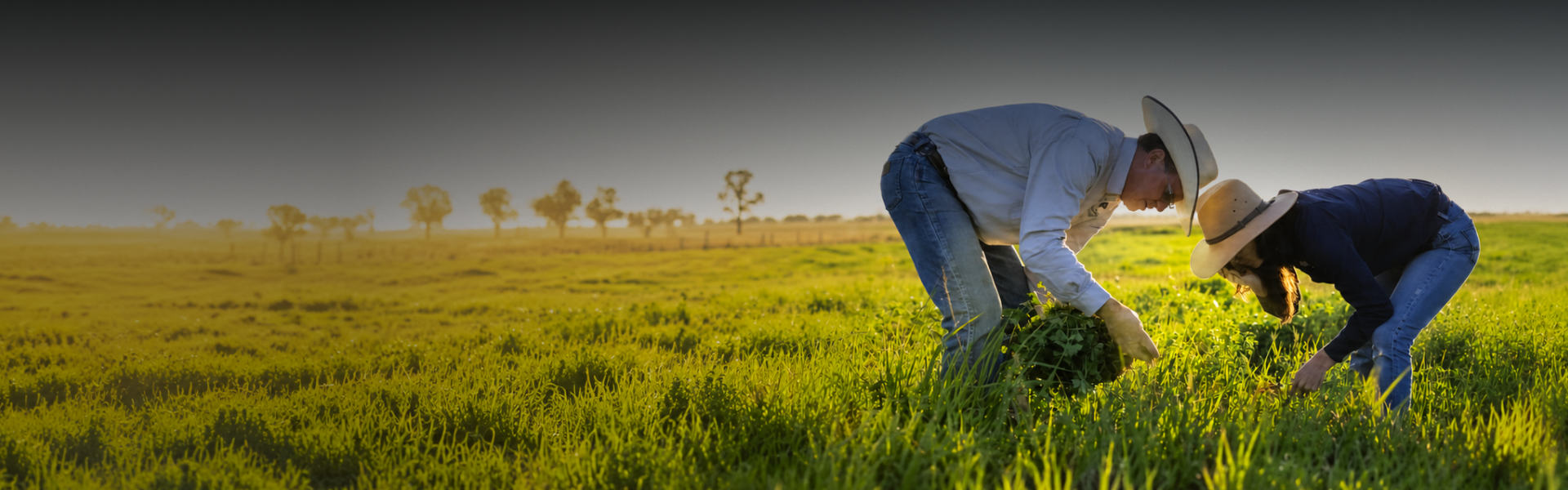 Climate Friendly acquires major soil carbon company to scale up integrated carbon farming