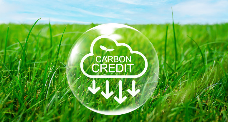First carbon credits