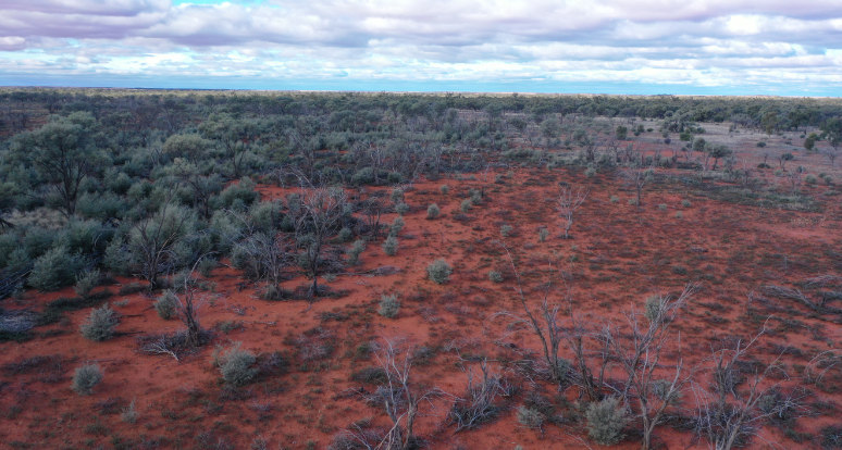 First regeneration project in Australia