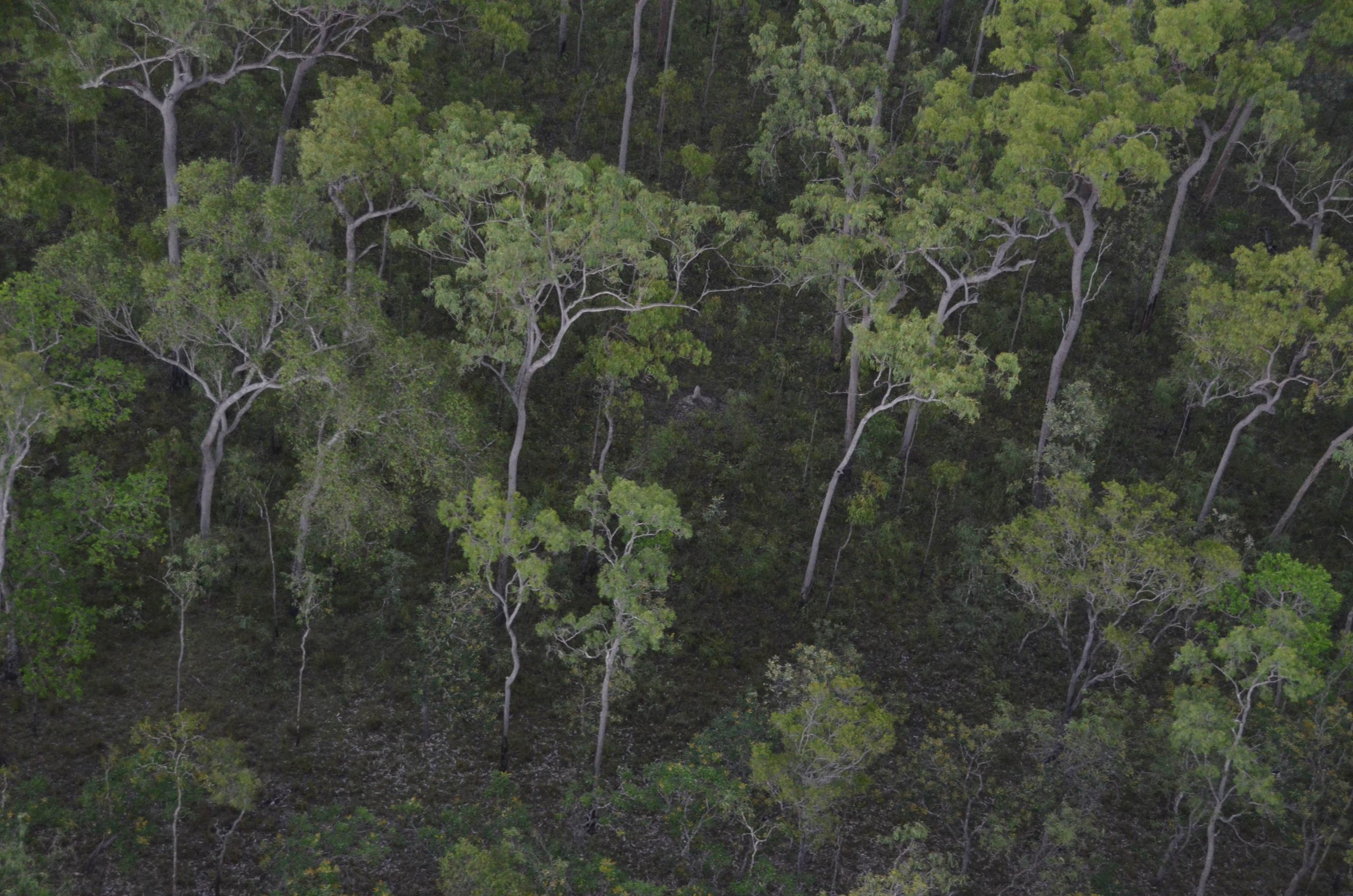 Climate Friendly Reaches 20 Million Tonnes of Carbon Abatement