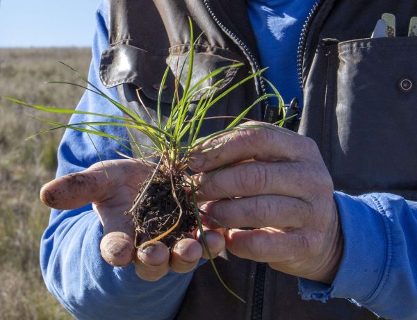 Australian carbon farmers go on the front foot to prove success of projects.