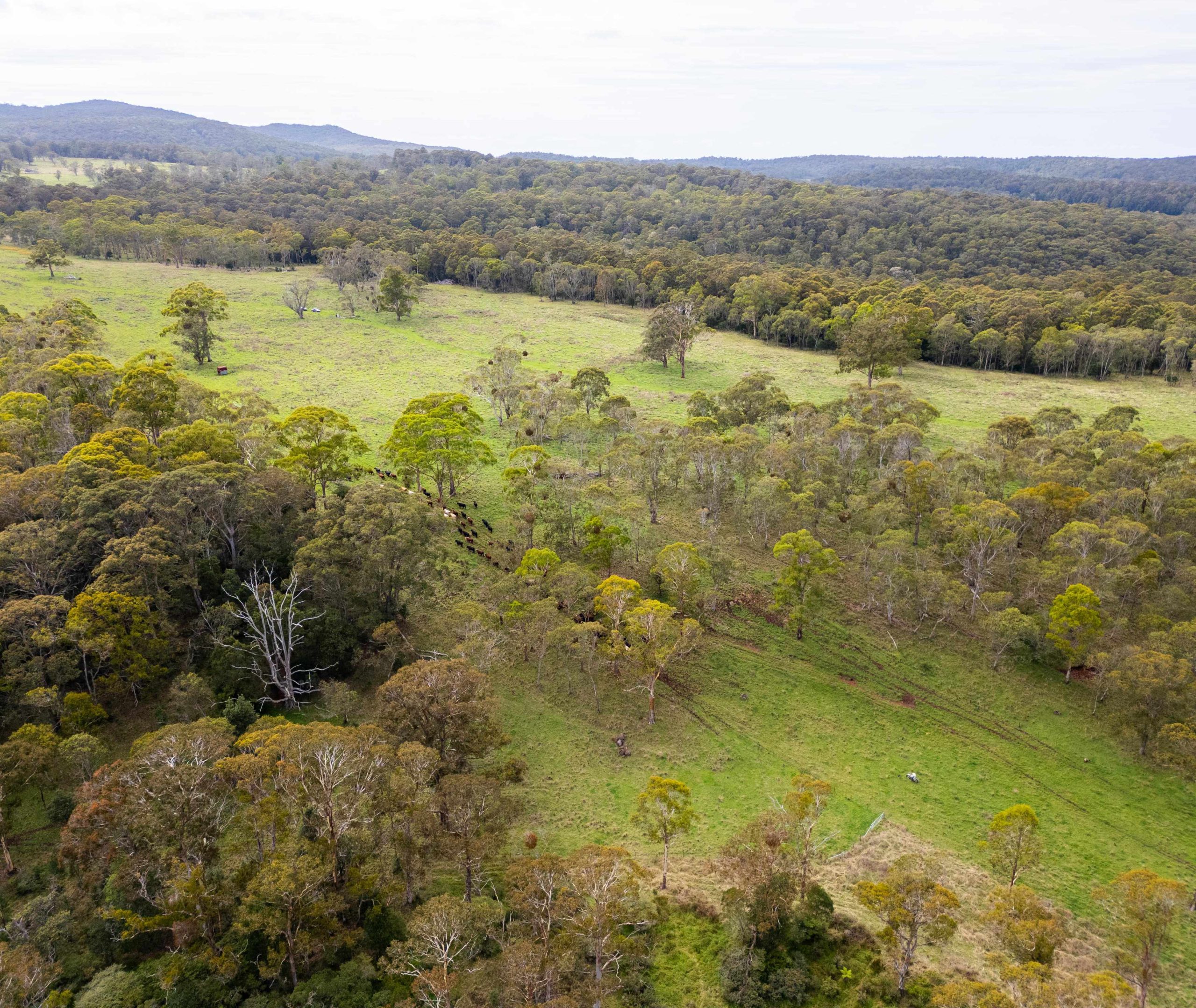 Australia needs stable, connected climate policy to accelerate action across the economy