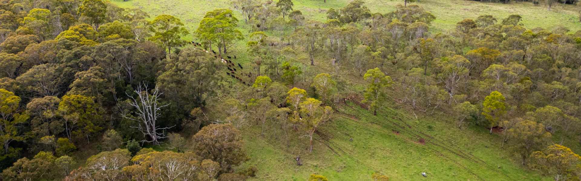 Australia needs stable, connected climate policy to accelerate action across the economy